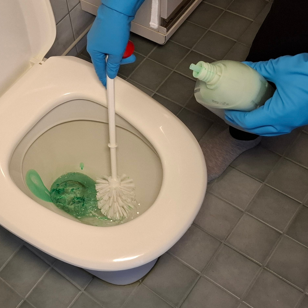 wc-pytty, jota juuri pestään wc-harjalla ja pesuaineella.